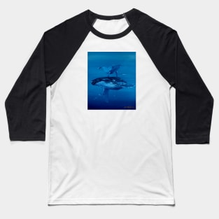 Humpback Whale and Calf Baseball T-Shirt